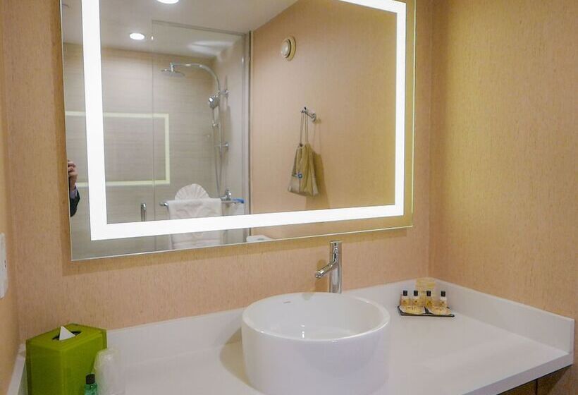 اتاق لوکس, Wyndham Anaheim