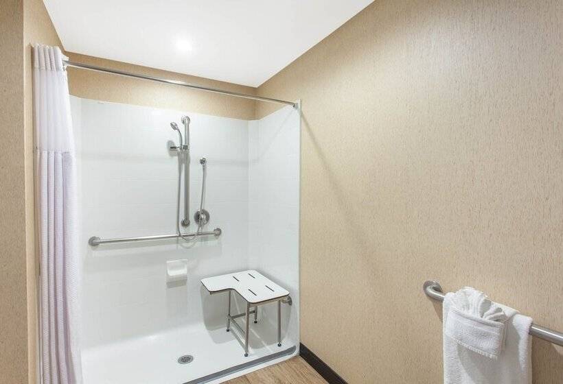 اتاق دلوکس مخصوص معلولین, Wyndham Anaheim