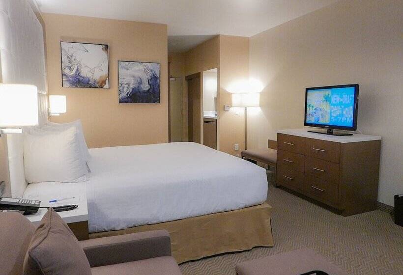 اتاق دلوکس مخصوص معلولین, Wyndham Anaheim