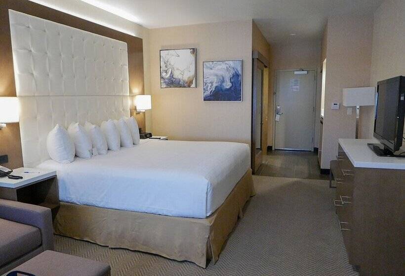 اتاق دلوکس مخصوص معلولین, Wyndham Anaheim