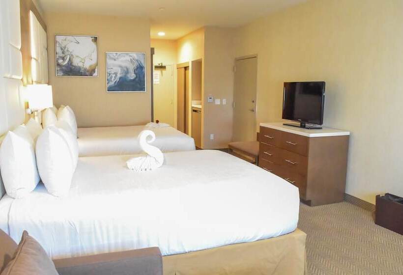 اتاق دلوکس مخصوص معلولین, Wyndham Anaheim
