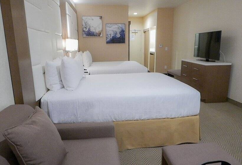 اتاق دلوکس مخصوص معلولین, Wyndham Anaheim