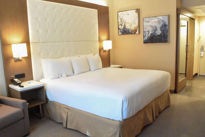 اتاق استاندارد با تخت بزرگ, Wyndham Anaheim