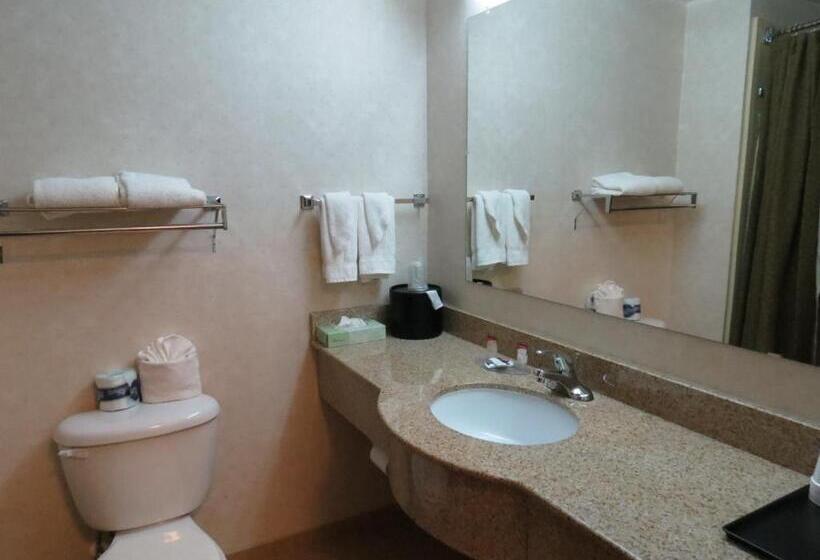 Номер Стандарт 2 Двуспальные Кровати, Executive Inn & Suites Upper Marlboro