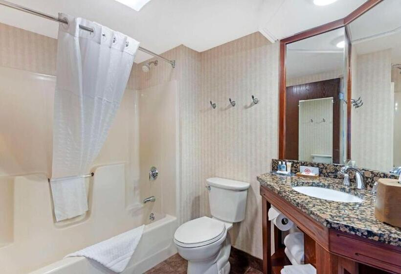 اتاق استاندارد با تخت بزرگ, Comfort Inn