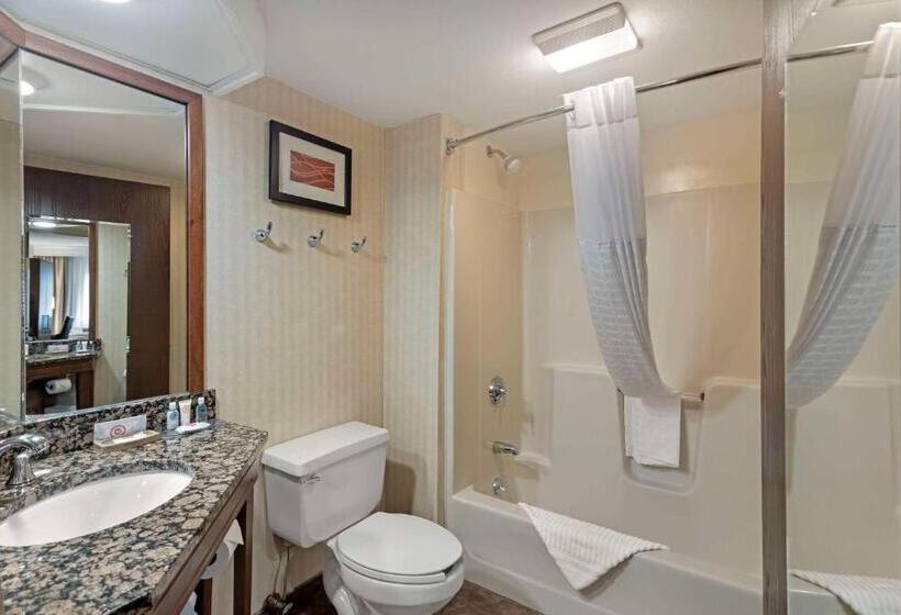 استودیو استاندارد با تخت کینگ, Comfort Inn