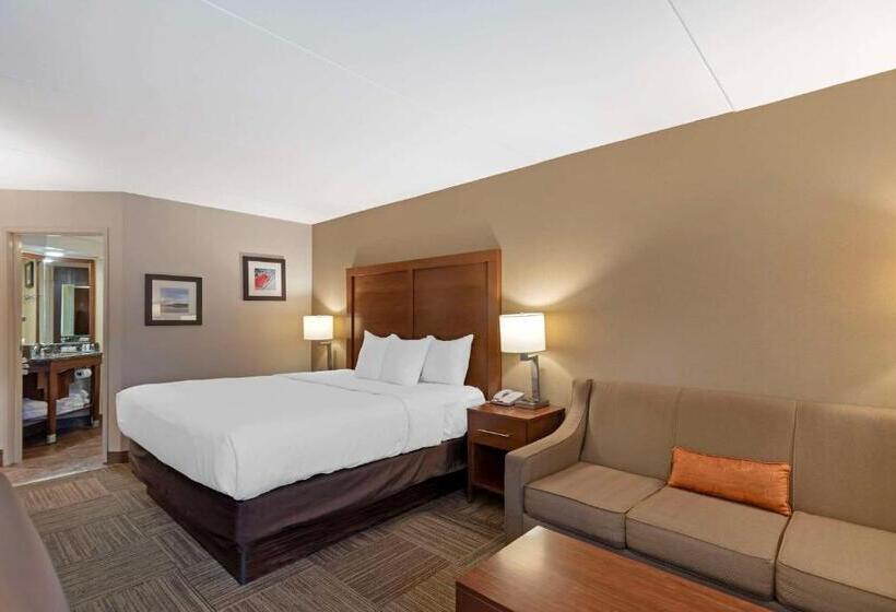 استودیو استاندارد با تخت کینگ, Comfort Inn