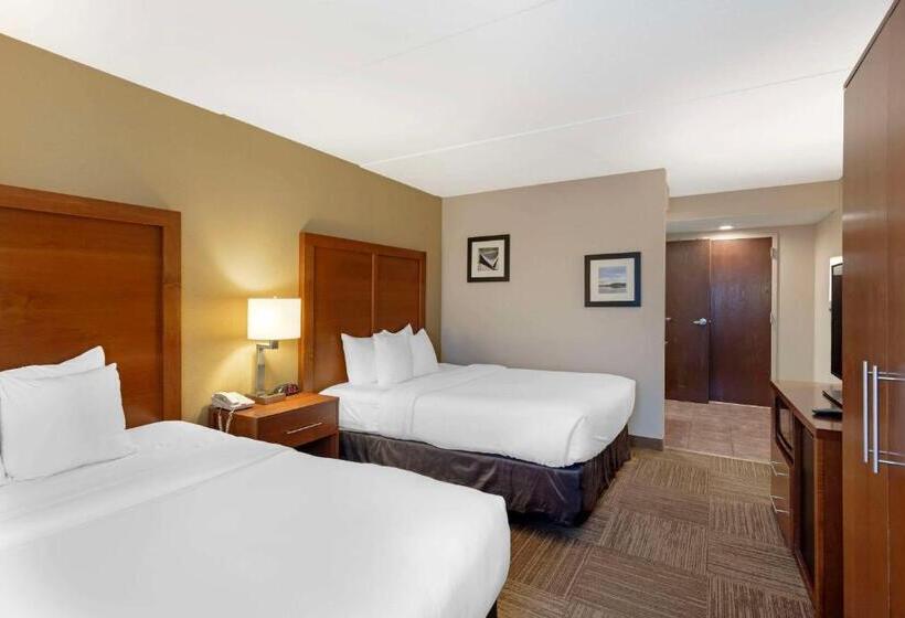 اتاق استاندارد, Comfort Inn
