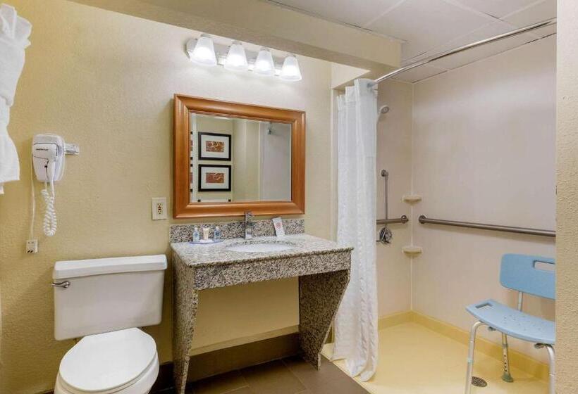 Номер Стандарт Кровать Кинг Адаптированный для Инвалидов, Comfort Inn & Suites Durham Near Duke University