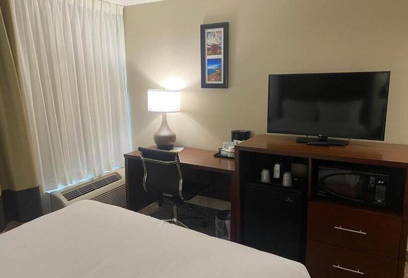 스탠다드 룸 킹사이즈 침대, Comfort Inn & Suites Temple   Medical Center