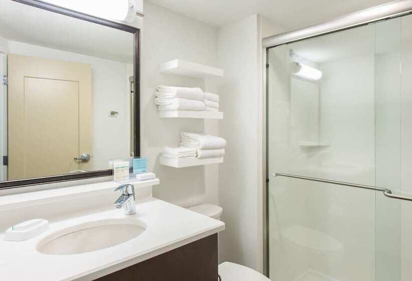 带大床的标准间, Hampton Inn Columbia