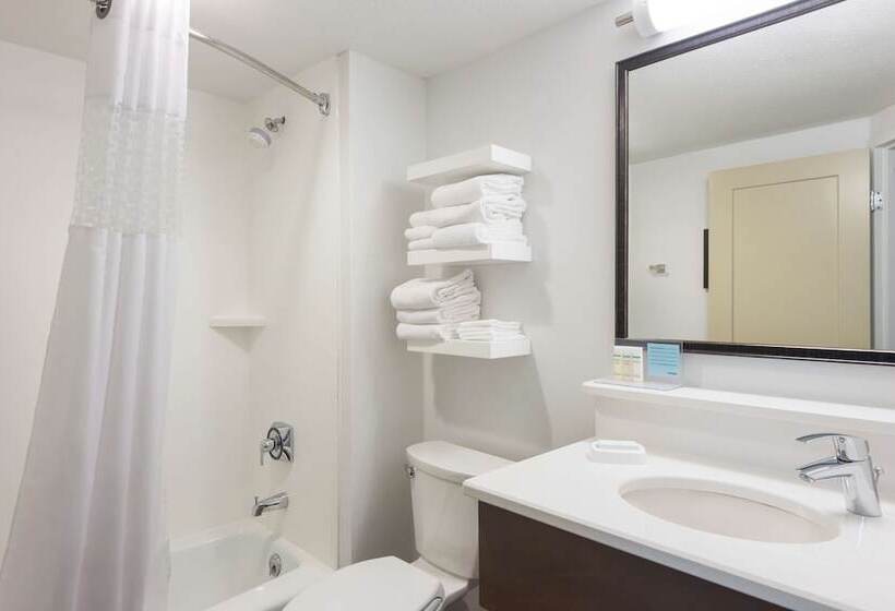 带大床的标准间, Hampton Inn Columbia