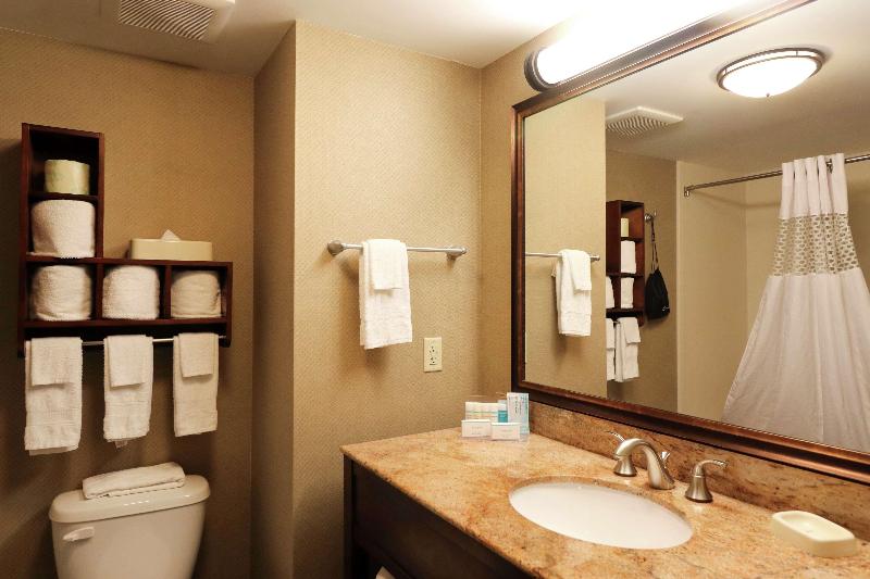 Номер Стандарт Кровать Кинг Адаптированный для Инвалидов, Hampton Inn Columbus South