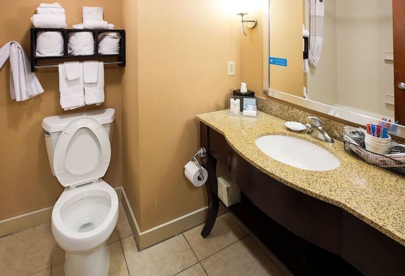 اتاق استاندارد با 2 تخت دوبل, Hampton Inn Elizabethtown Ky
