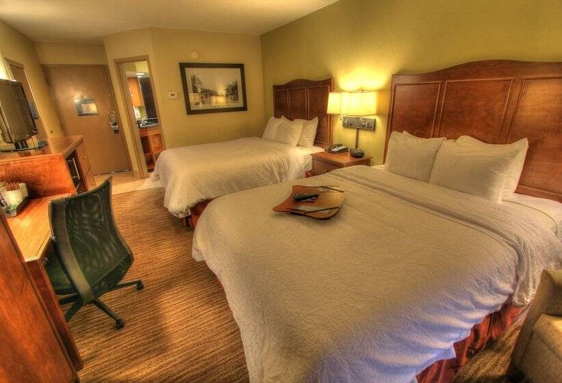 Pokój Standard 2 Łóżka Małżeńskie, Hampton Inn Gatlinburg