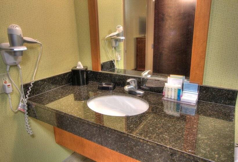 Pokój Typu Standard Łóżko Małżeńskie Przystosowany dla Osób Niepełnosprawnych, Hampton Inn Gatlinburg