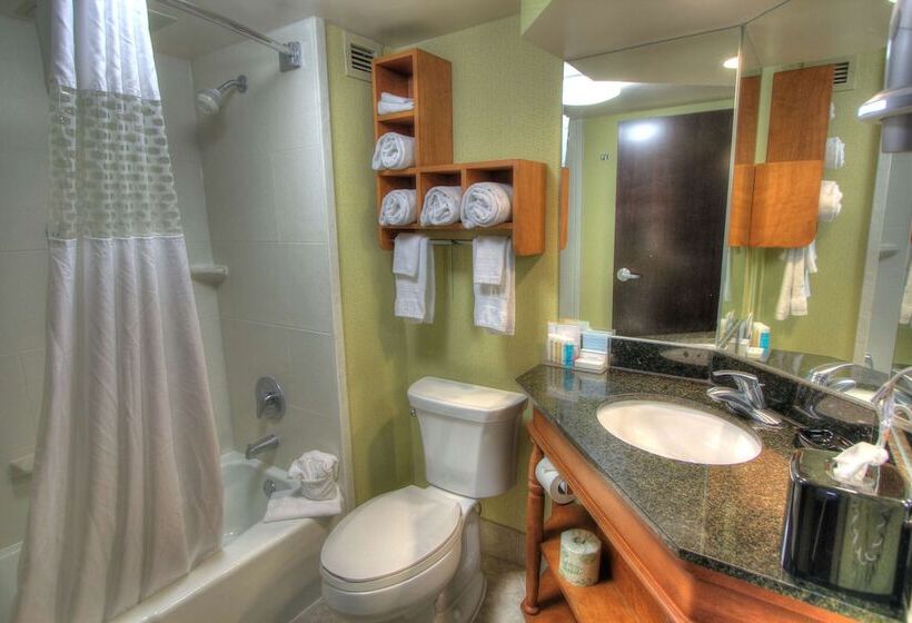Pokój Standard Łóżko Małżeńskie, Hampton Inn Gatlinburg