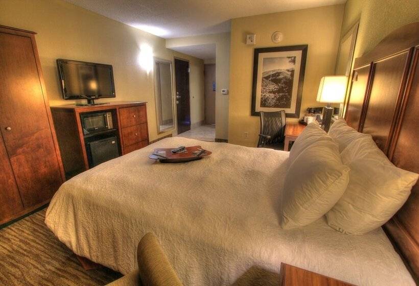 Pokój Typu Standard Łóżko Małżeńskie Przystosowany dla Osób Niepełnosprawnych, Hampton Inn Gatlinburg