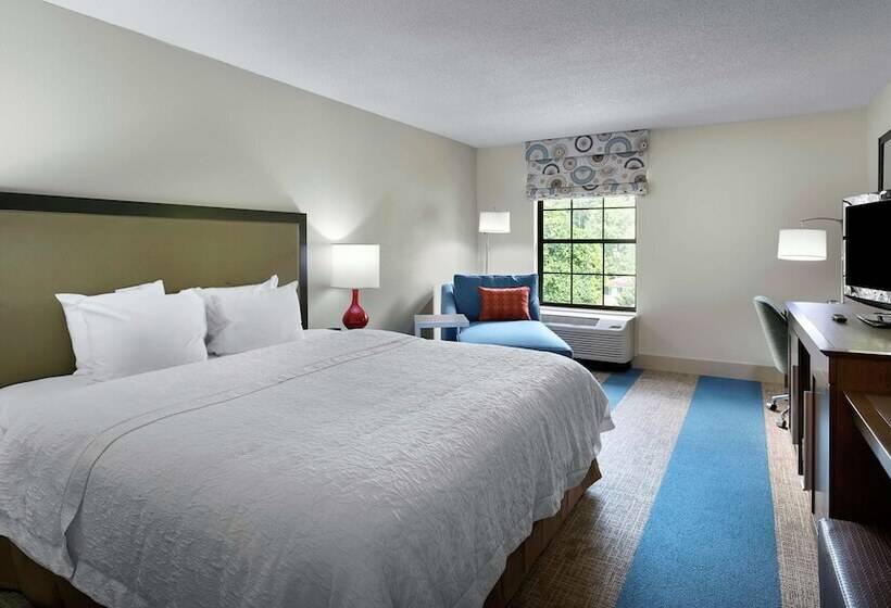장애인을 위한 킹사이즈 침대 스탠다드 룸, Hampton Inn Helen