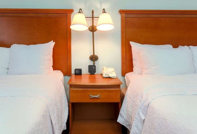 Standard-huone 2 Parivuodetta, Hampton Inn Laredo