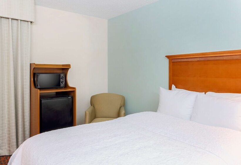 Standard-huone 2 Parivuodetta, Hampton Inn Laredo