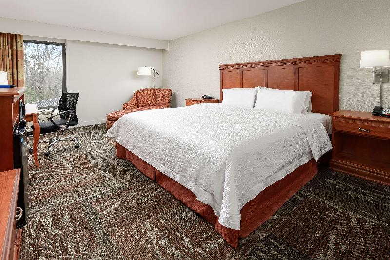 带大床的标准间, Hampton Inn Oak Ridge Knoxville