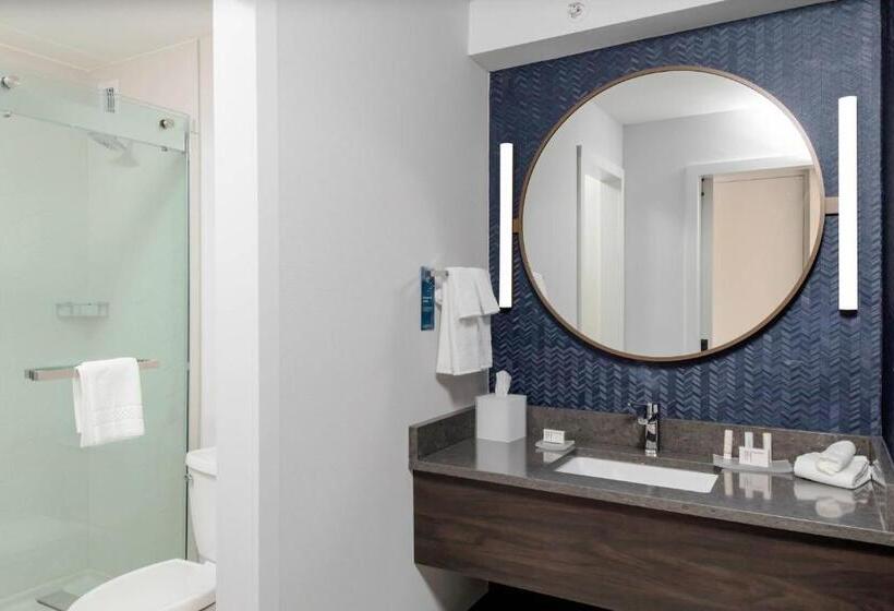 Стандартный Номер Кровать Кинг, Fairfield Inn & Suites Springfield Enfield