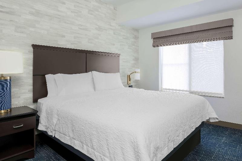 Стандартный Номер Кровать Кинг, Hampton Inn & Suites Denver Tech Center
