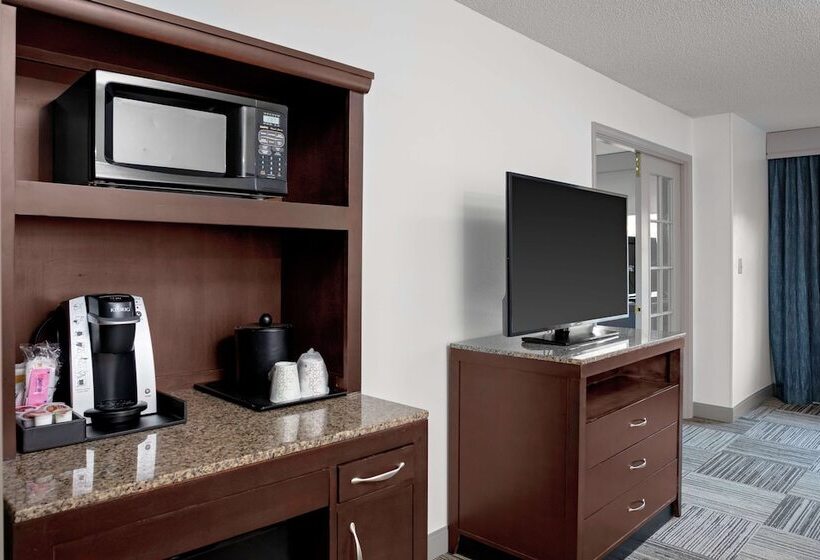 스탠다드 룸, Hilton Garden Inn Atlanta Perimeter Center