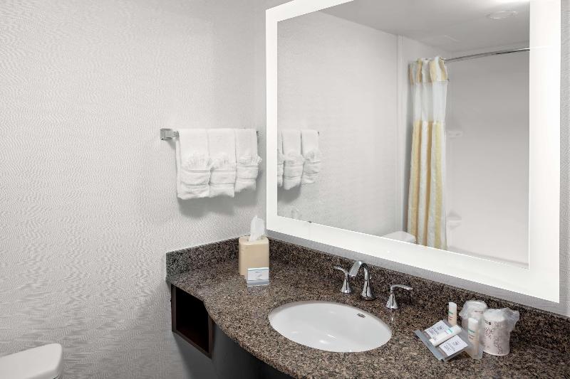 스탠다드 룸 킹사이즈 침대, Hilton Garden Inn Atlanta Perimeter Center