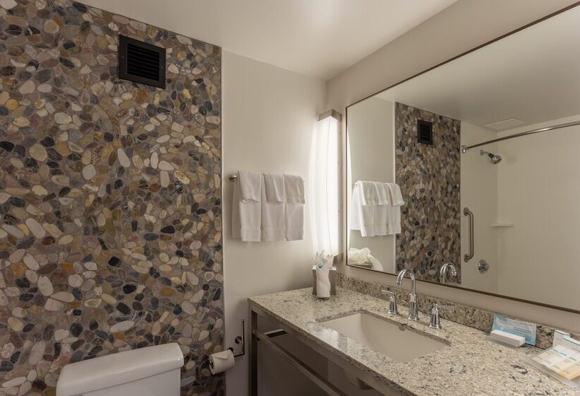 프리미엄 룸, Hilton Garden Inn Owings Mills