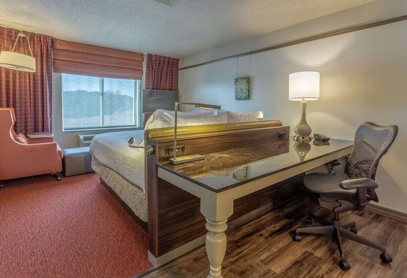 חדר פרמיום, Hilton Garden Inn Owings Mills