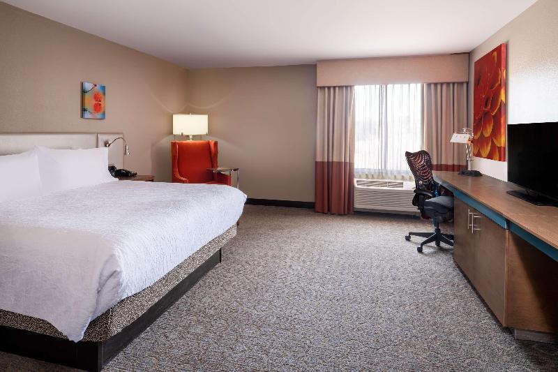 带大床的标准间, Hilton Garden Inn Colorado Springs North