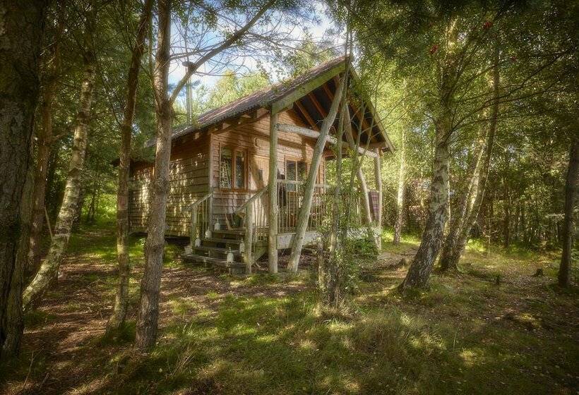 １ベッドルームハウス, Swinton Bivouac
