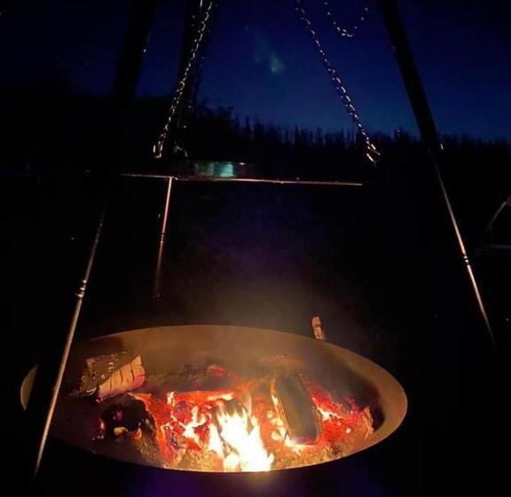 Номер Стандарт, Glamping With Llamas