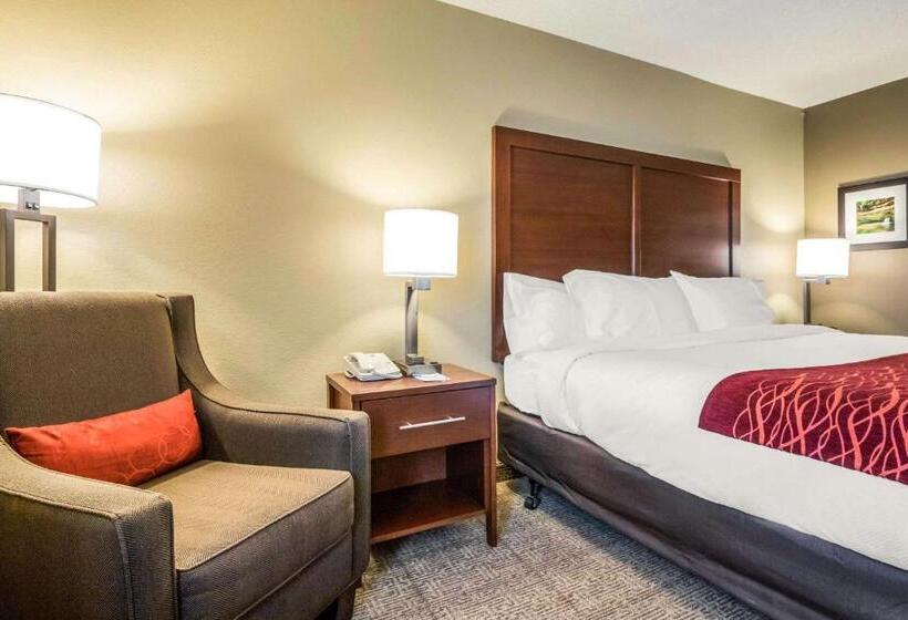 스탠다드 룸 킹사이즈 침대, Comfort Inn Ottawa Starved Rock Area