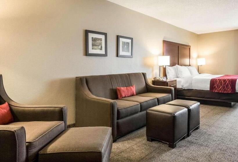 스탠다드 룸 킹사이즈 침대, Comfort Inn Ottawa Starved Rock Area