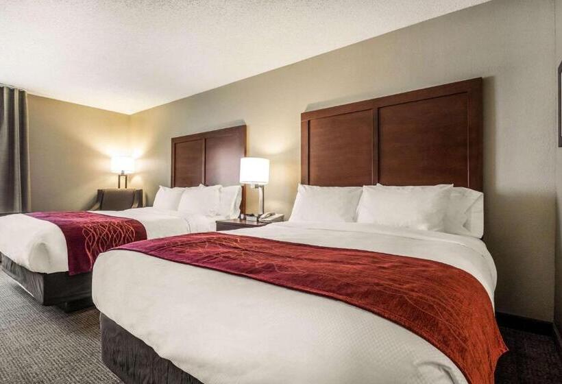 스탠다드 룸, Comfort Inn Ottawa Starved Rock Area