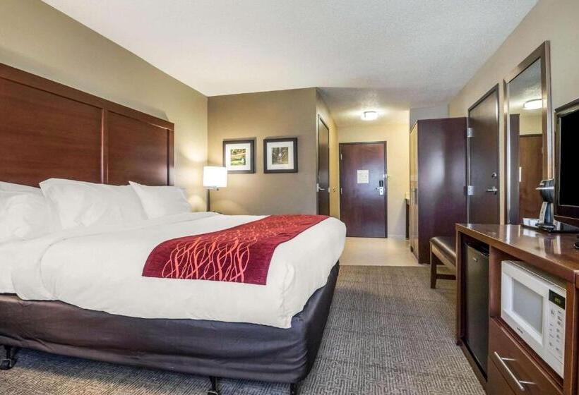 장애인을 위한 킹사이즈 침대 스탠다드 룸, Comfort Inn Ottawa Starved Rock Area