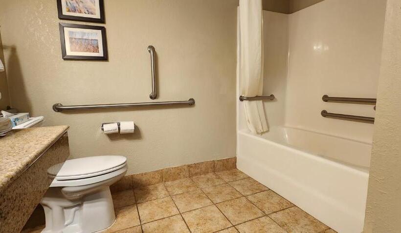 Номер Стандарт 2 Двуспальные Кровати, Comfort Inn & Suites