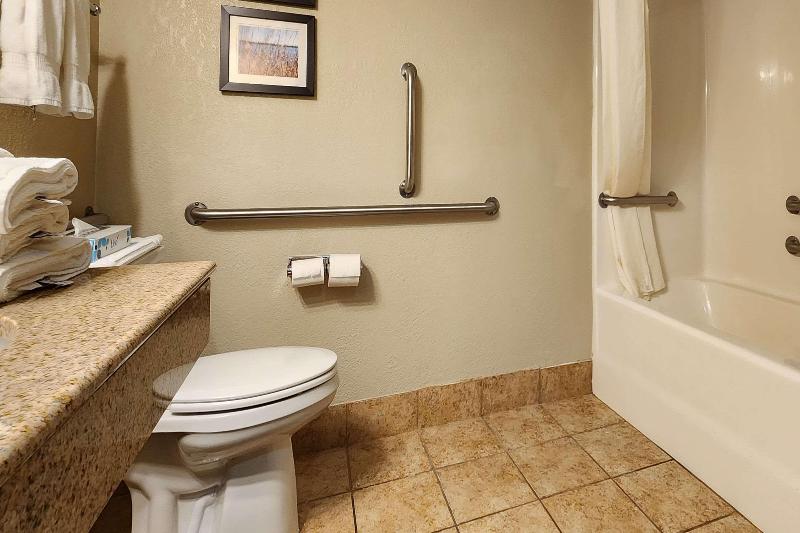 Номер Стандарт Адаптированный для Инвалидов, Comfort Inn & Suites