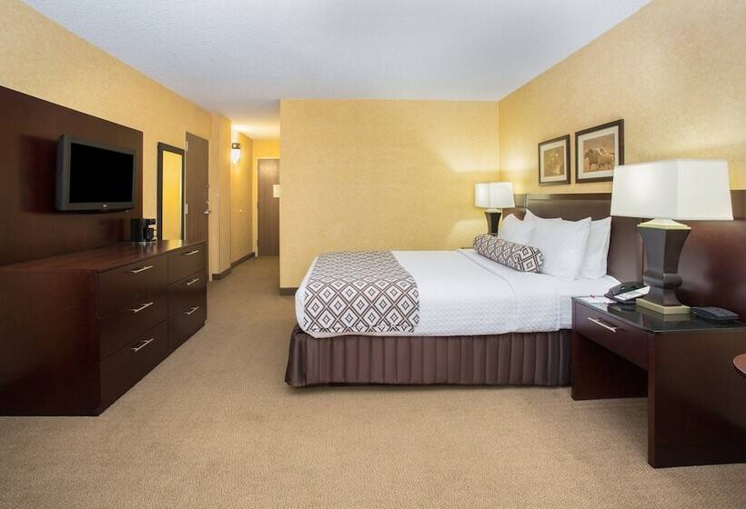 标准间, Crowne Plaza Denver International Airport, An Ihg