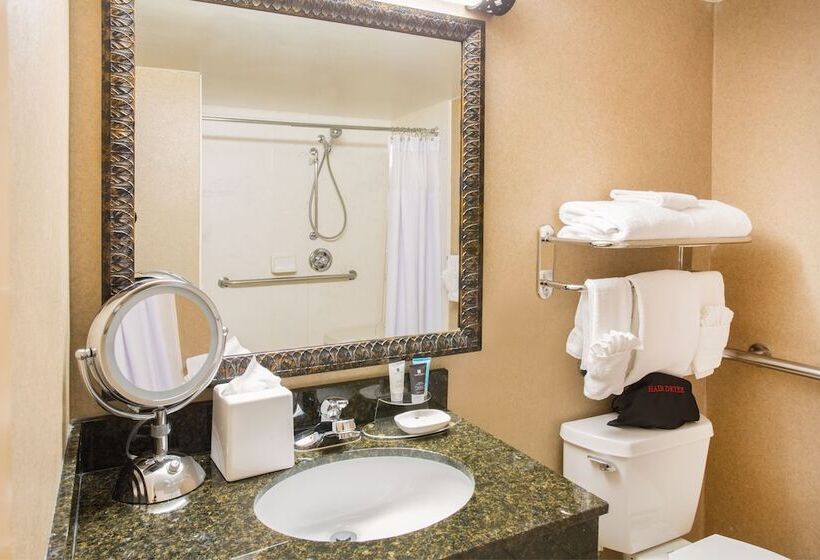 套房, Crowne Plaza Denver International Airport, An Ihg
