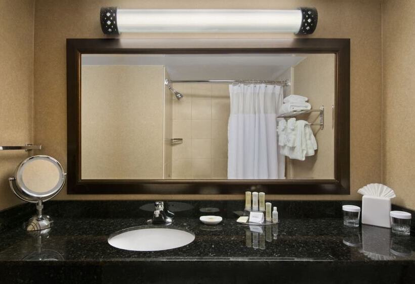 带2个双人床的标准工作室, Crowne Plaza Denver International Airport, An Ihg