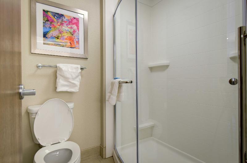 스탠다드 룸 킹사이즈 침대, Holiday Inn Express & Suites North Platte, An Ihg