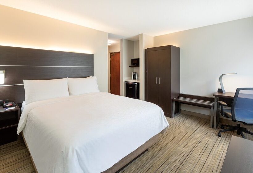 اتاق استاندارد, Holiday Inn Express Hotel & Suites Minneapolis Downtown Convention Center, An Ihg