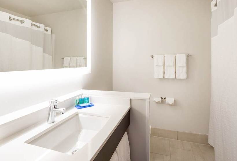 스위트, Holiday Inn Express Hotel & Suites Minneapolis Downtown Convention Center, An Ihg