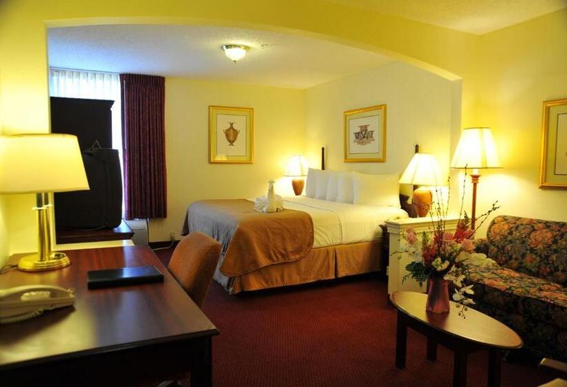 اتاق اجرایی با تخت بزرگ, Opal Hotel & Suites