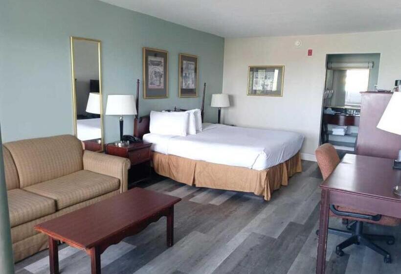 اتاق استاندارد با تخت بزرگ, Opal Hotel & Suites