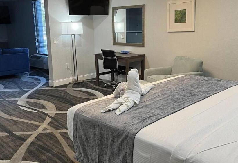 سوییت با چشم‌انداز استخر, Opal Hotel & Suites
